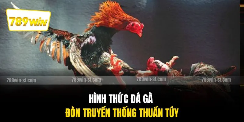 Hình thức đá gà đòn truyền thống thuần túy