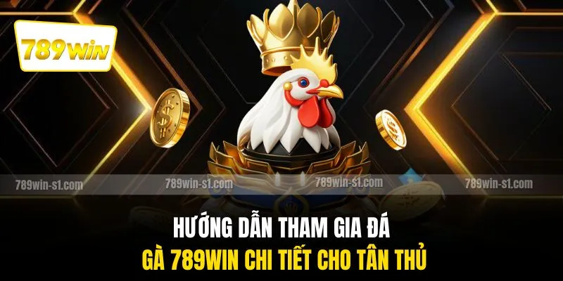 Hướng dẫn tham gia đá gà 789WIN chi tiết cho tân thủ
